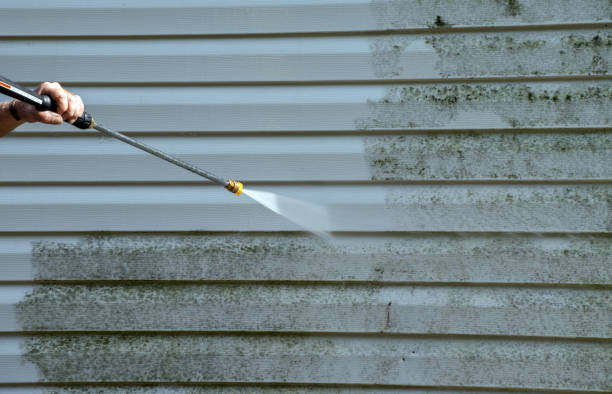 Best Garage Pressure Washing  in Hoffman Estates, IL